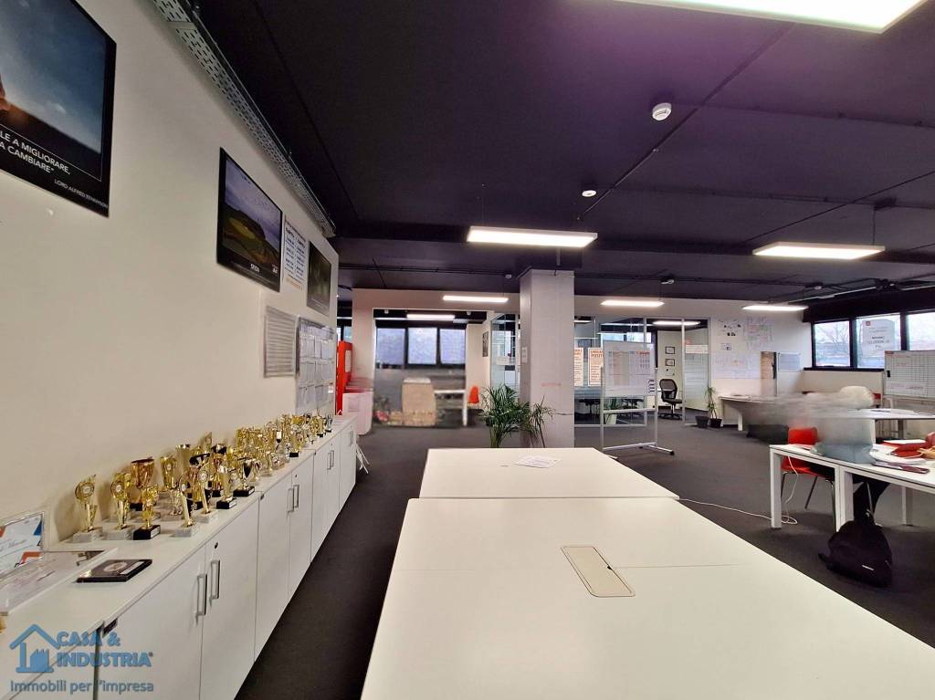 immagine annuncio 9 di 14