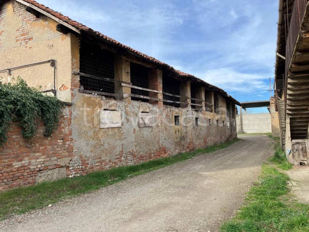 immagine annuncio 11 di 15