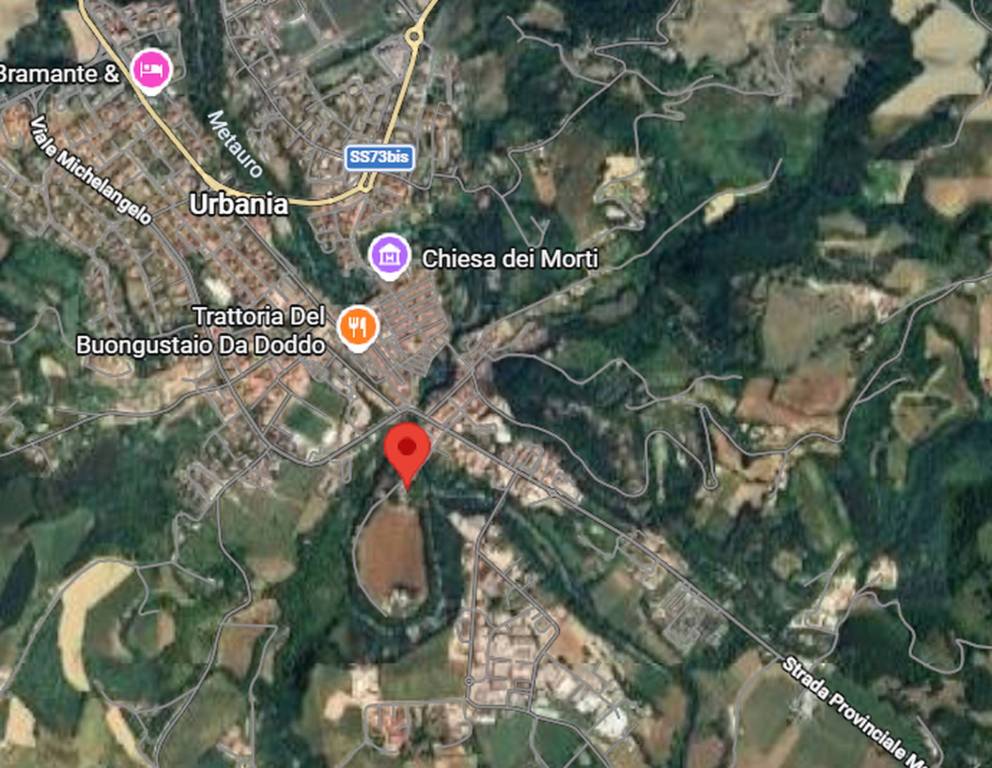 immagine annuncio 4 di 11