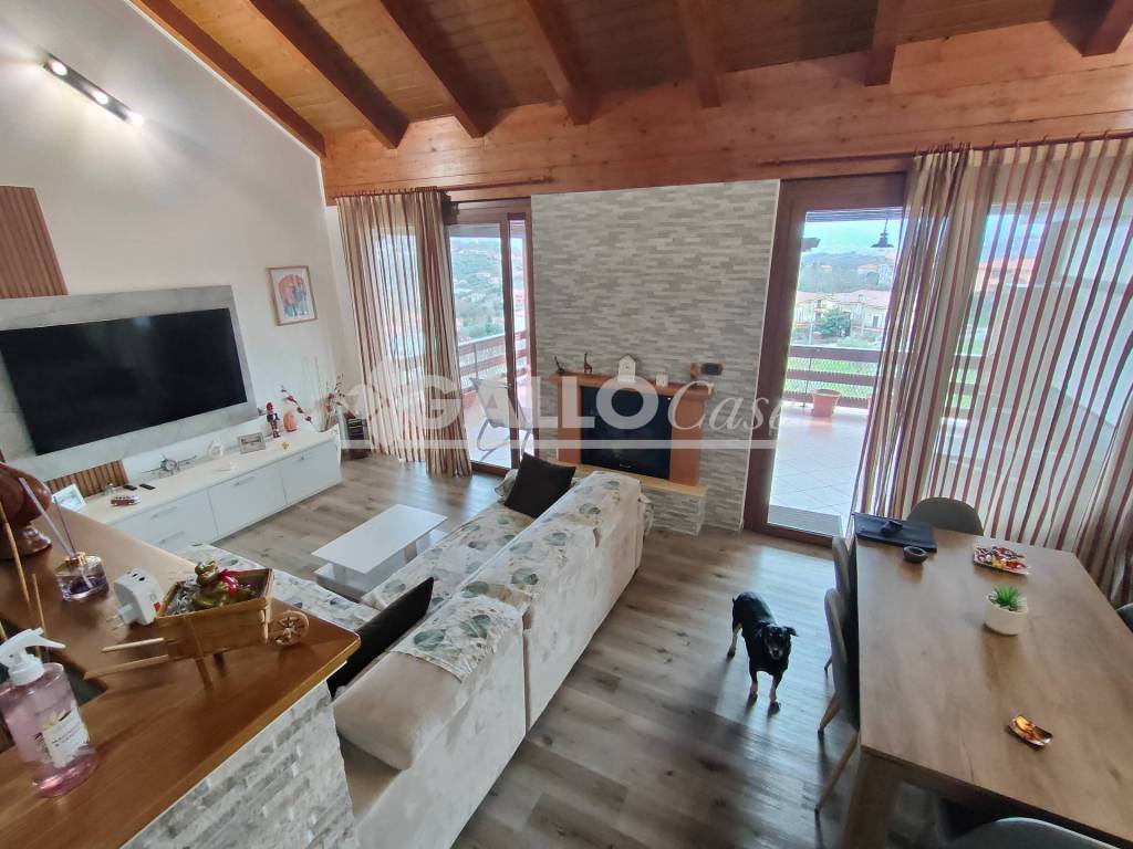 immagine annuncio 13 di 15