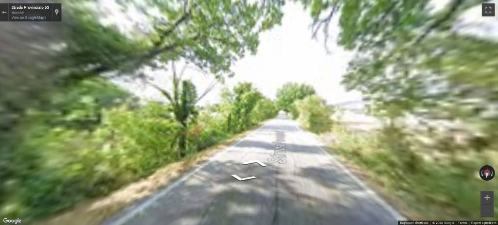 immagine annuncio 11 di 14