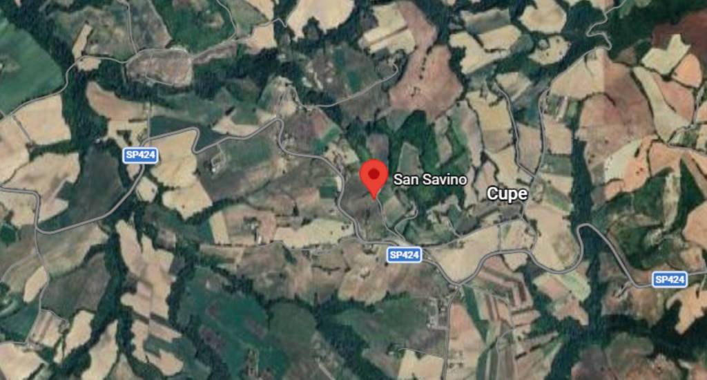 immagine annuncio 2 di 12