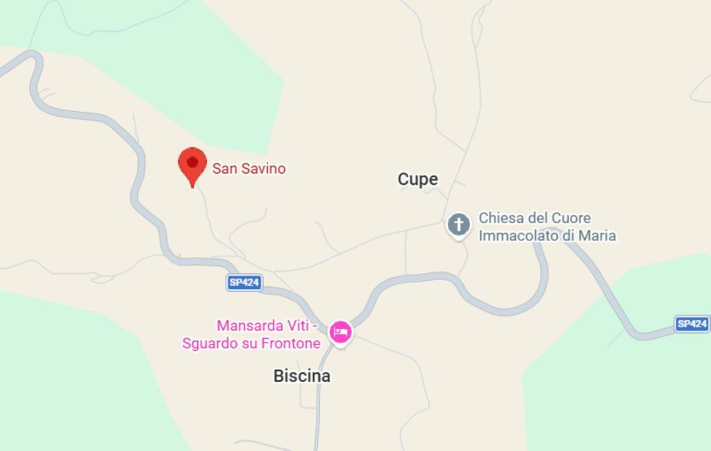 immagine annuncio 5 di 12