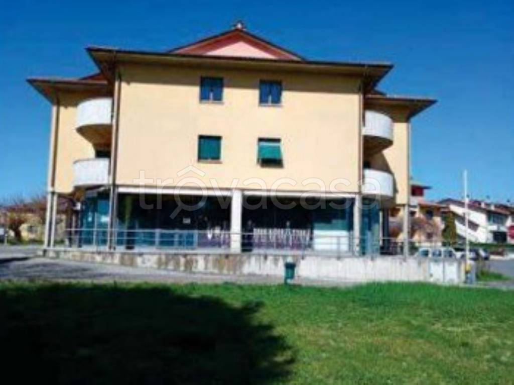 immagine annuncio 2 di 11