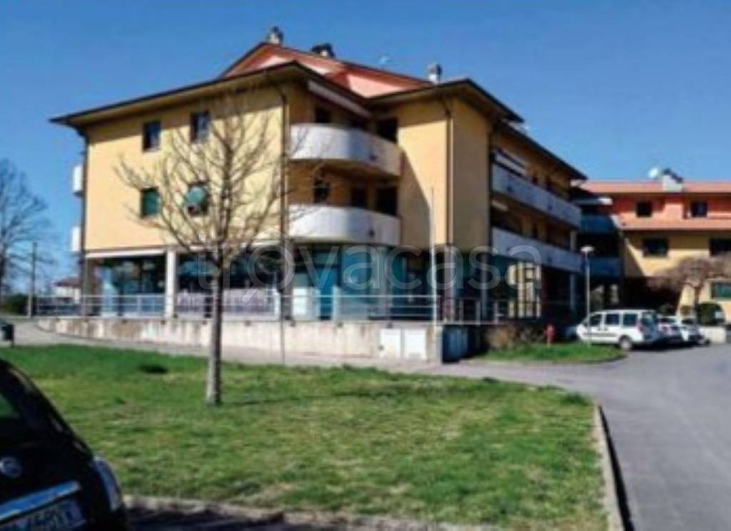 immagine annuncio 3 di 11