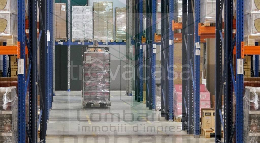 immagine annuncio 11 di 12