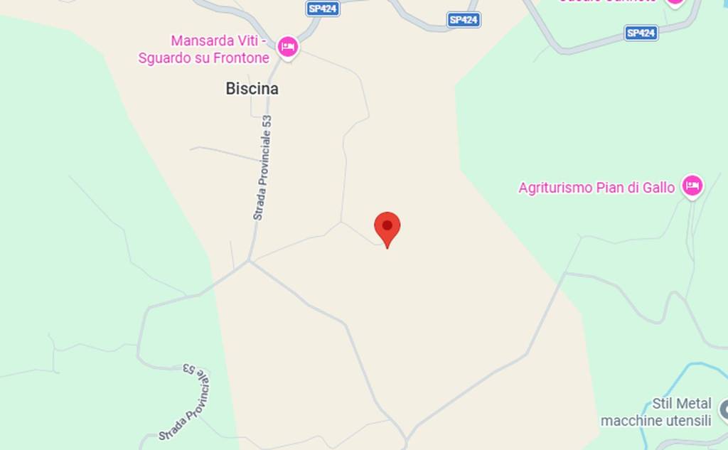 immagine annuncio 14 di 15