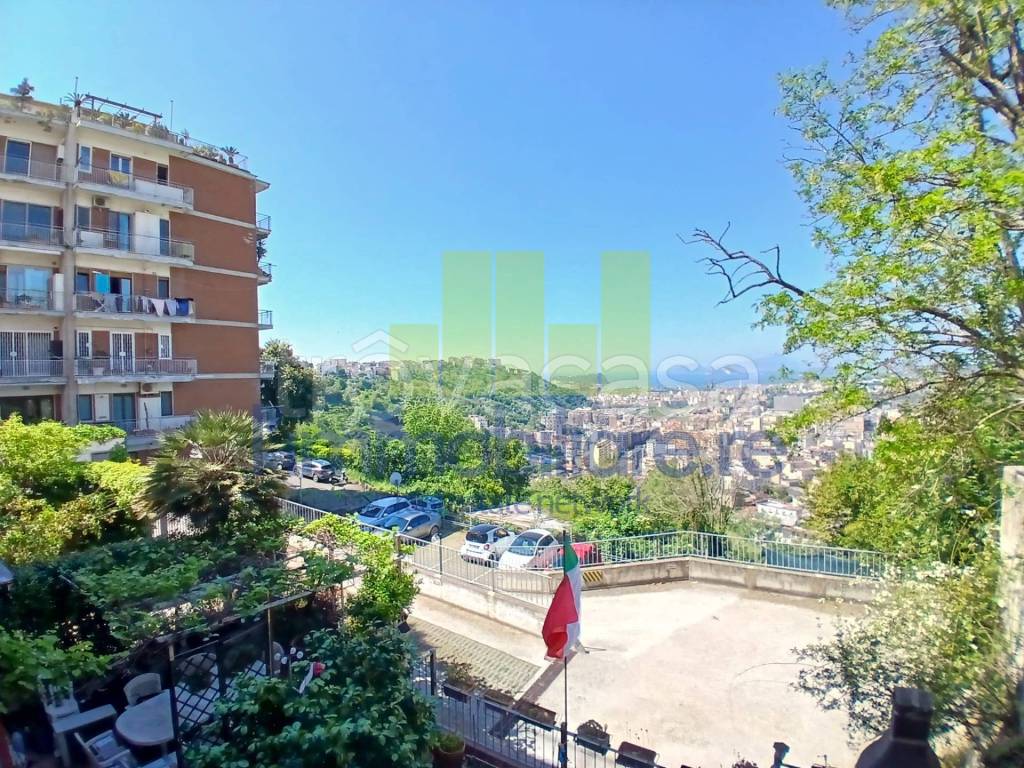 immagine annuncio 12 di 13