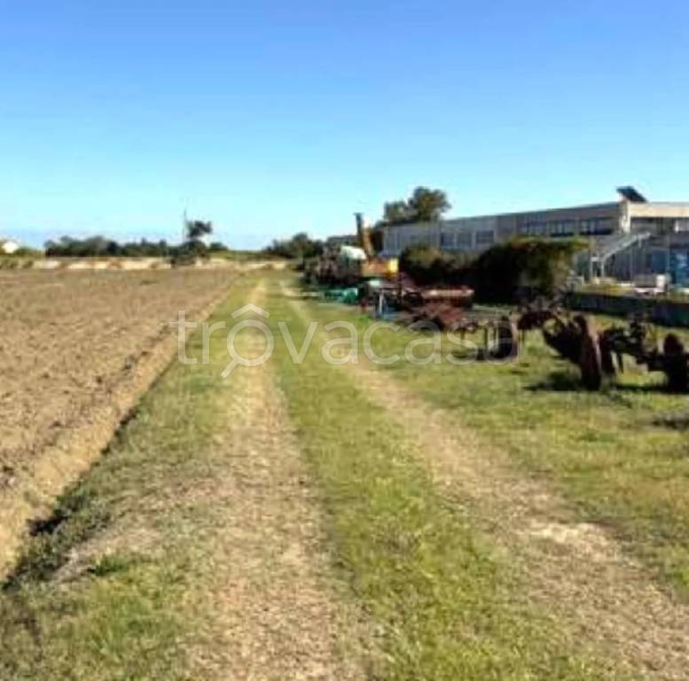 immagine annuncio 4 di 11