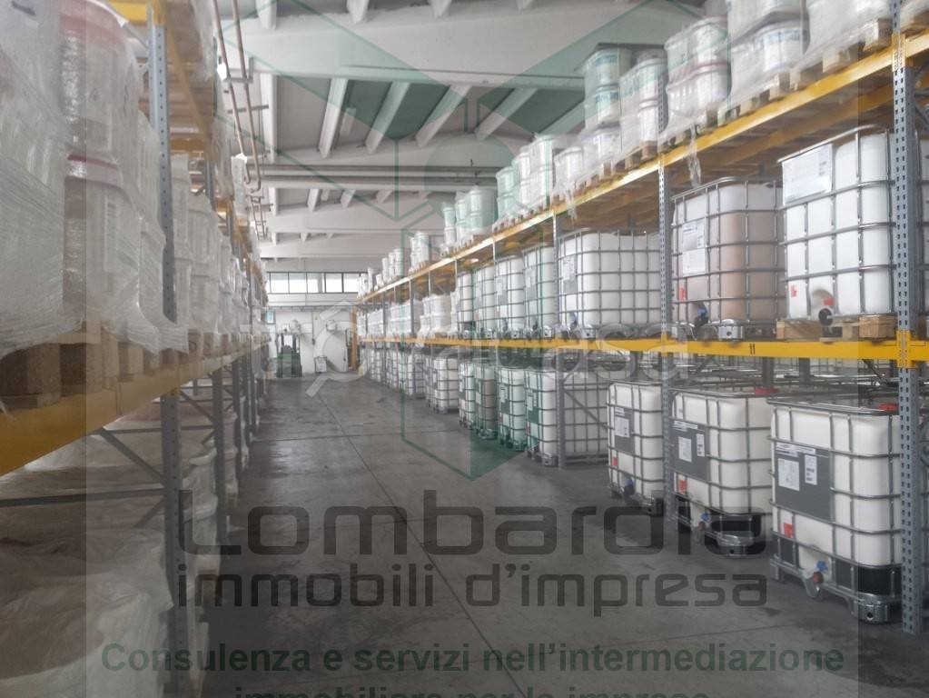 immagine annuncio 7 di 12