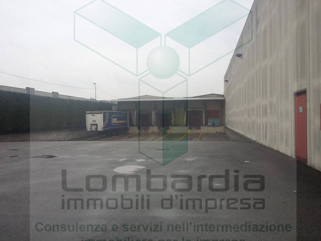 immagine annuncio 5 di 12