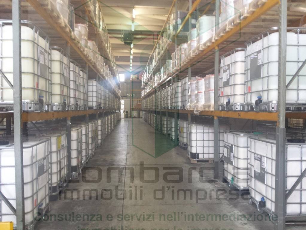 immagine annuncio 1 di 12