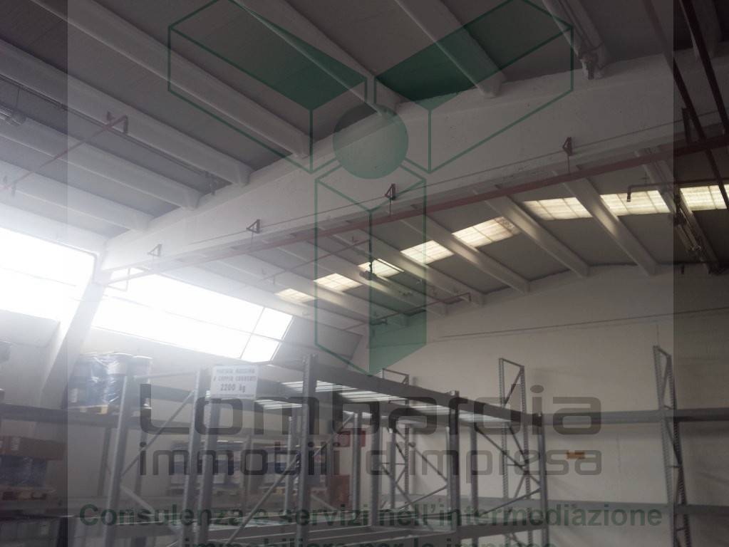 immagine annuncio 5 di 12