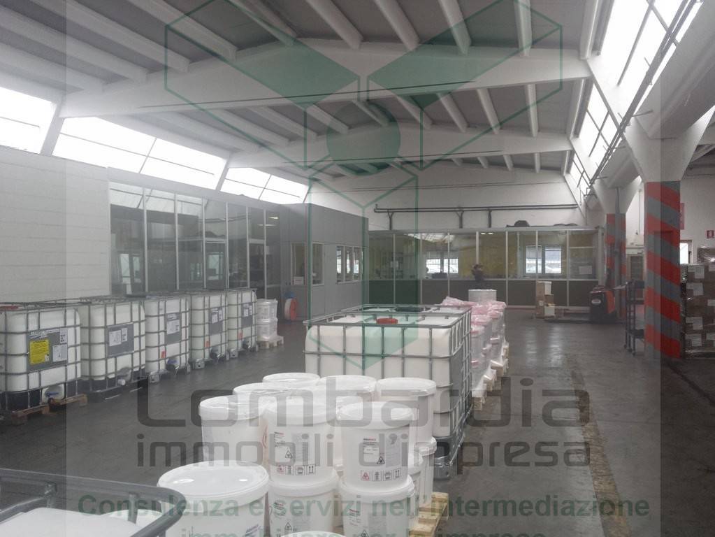 immagine annuncio 9 di 12