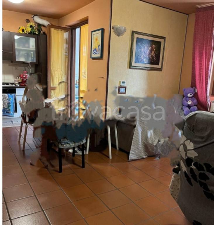 immagine annuncio 7 di 14