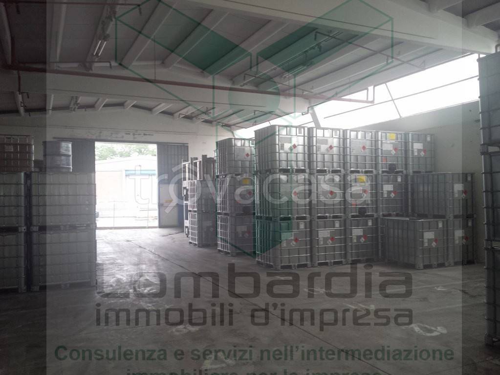 immagine annuncio 3 di 12