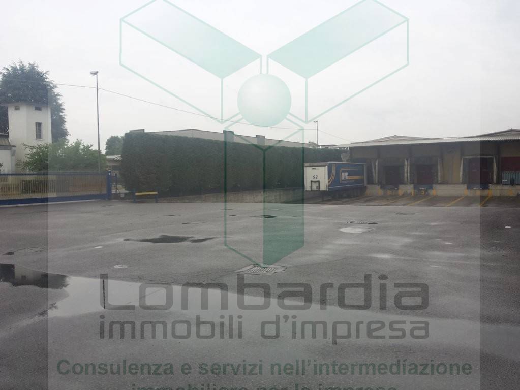 immagine annuncio 5 di 12