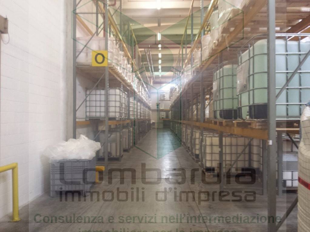 immagine annuncio 2 di 12