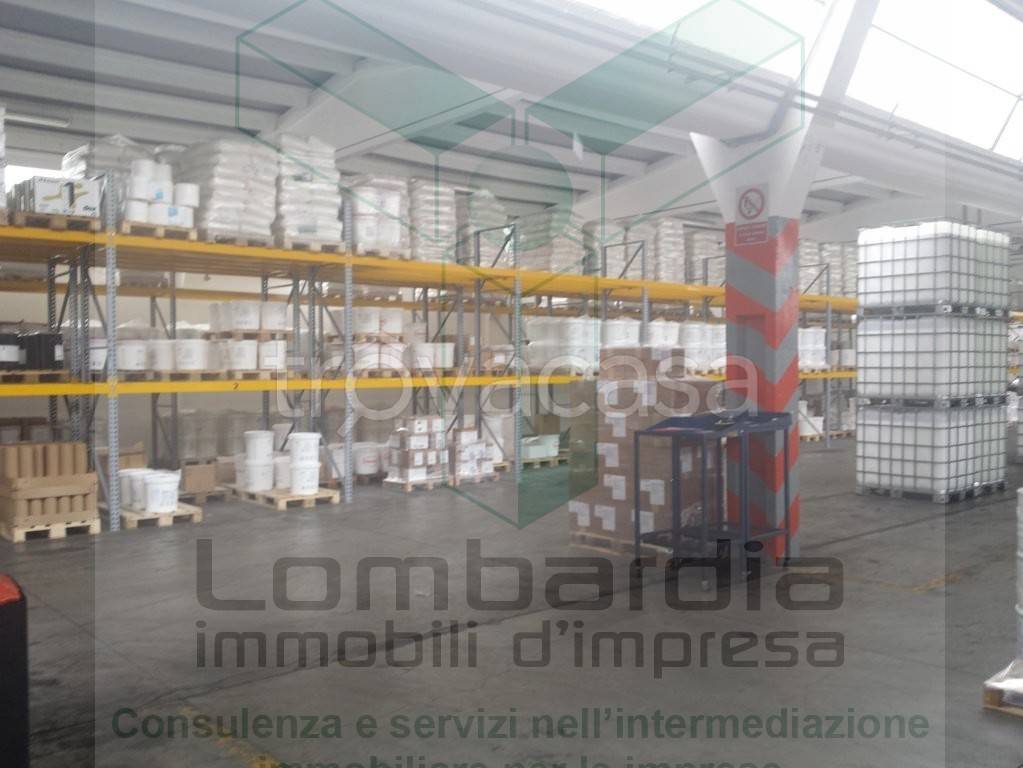 immagine annuncio 6 di 12