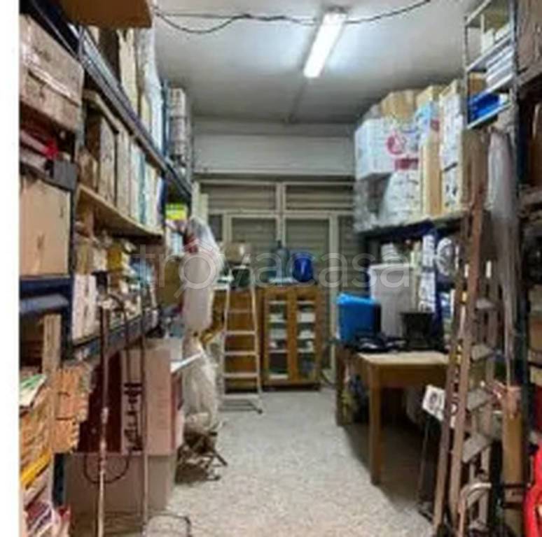 immagine annuncio 10 di 12