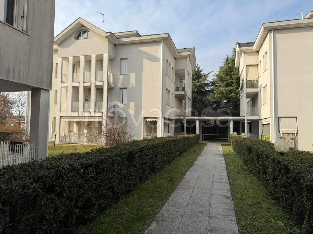 immagine annuncio 6 di 7