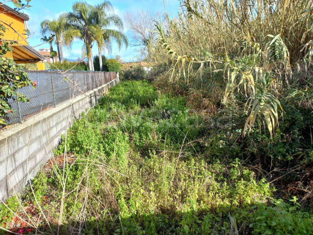 immagine annuncio 2 di 6