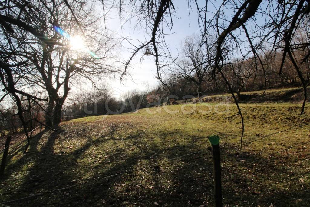 immagine annuncio 5 di 9