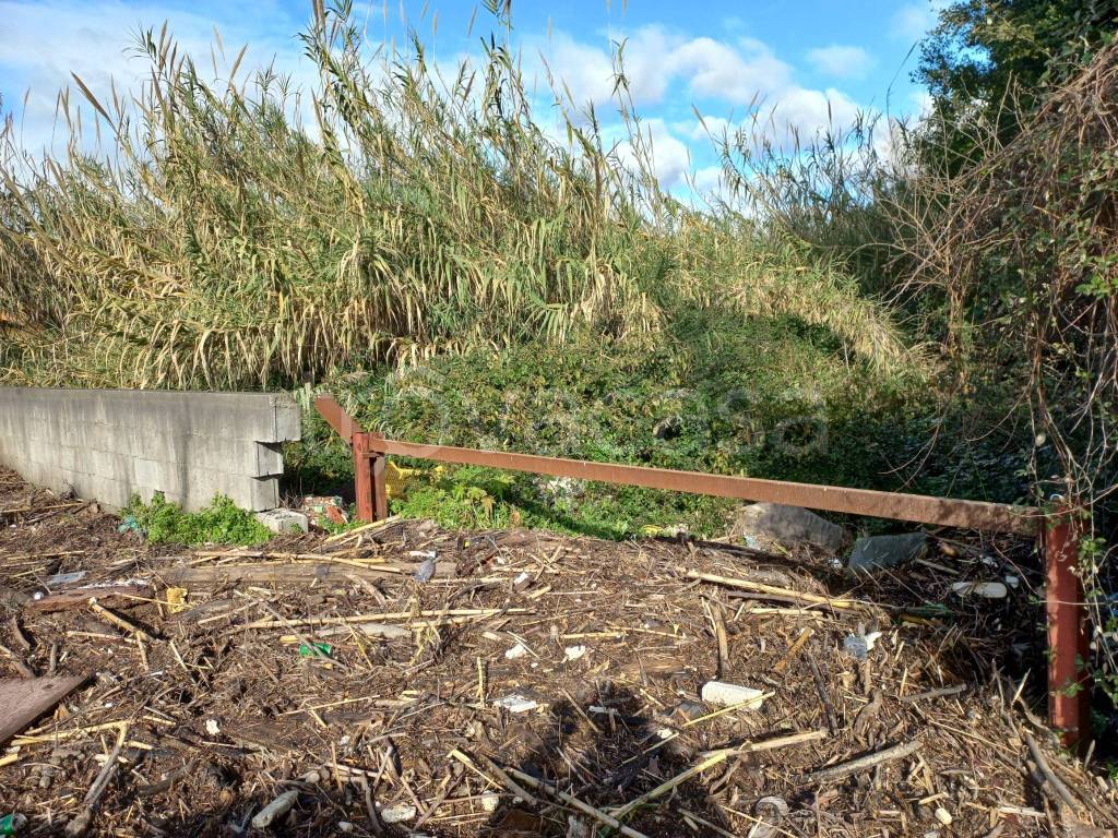 immagine annuncio 5 di 6