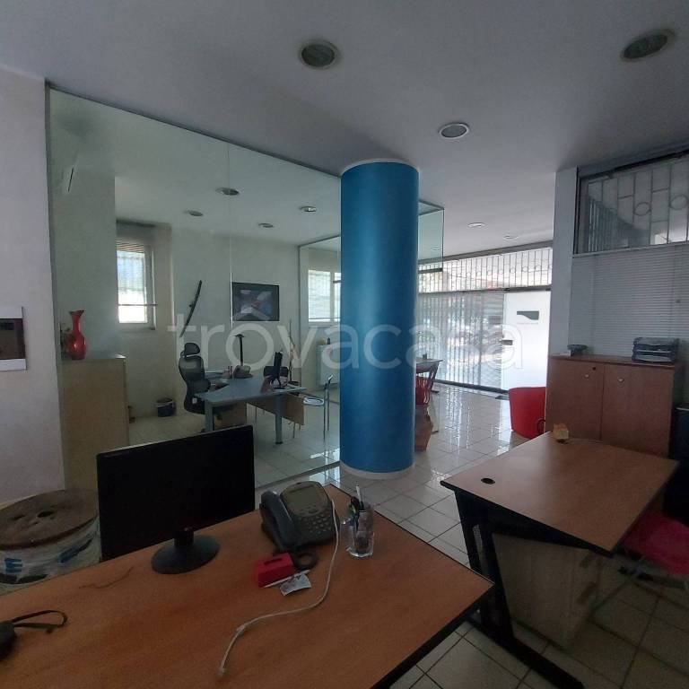 immagine annuncio 11 di 13