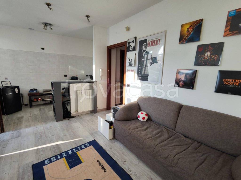 immagine annuncio 9 di 14