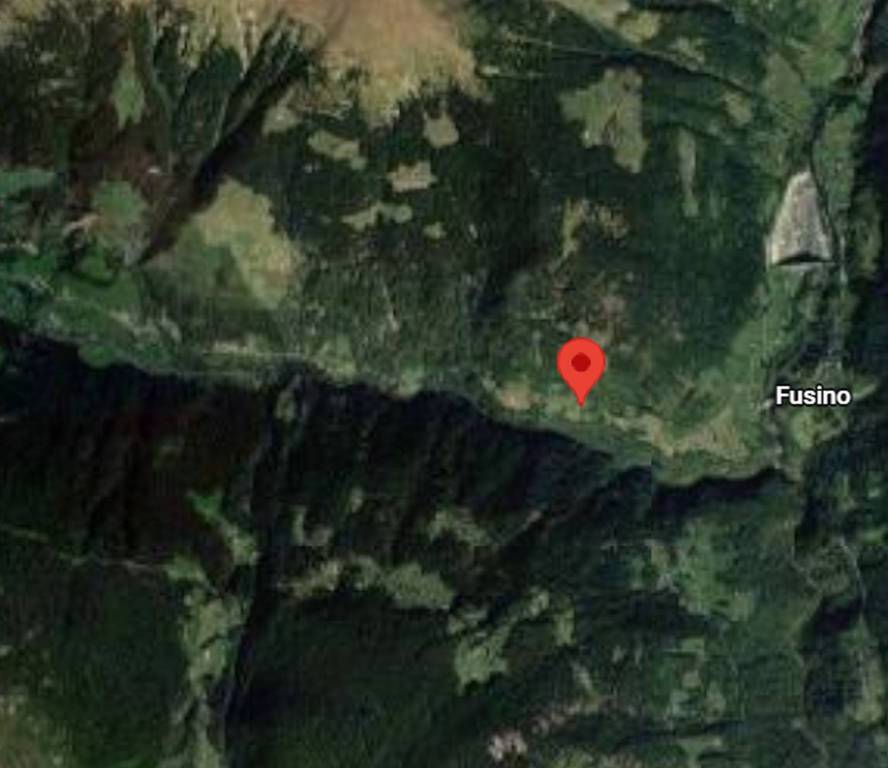 immagine annuncio 3 di 12