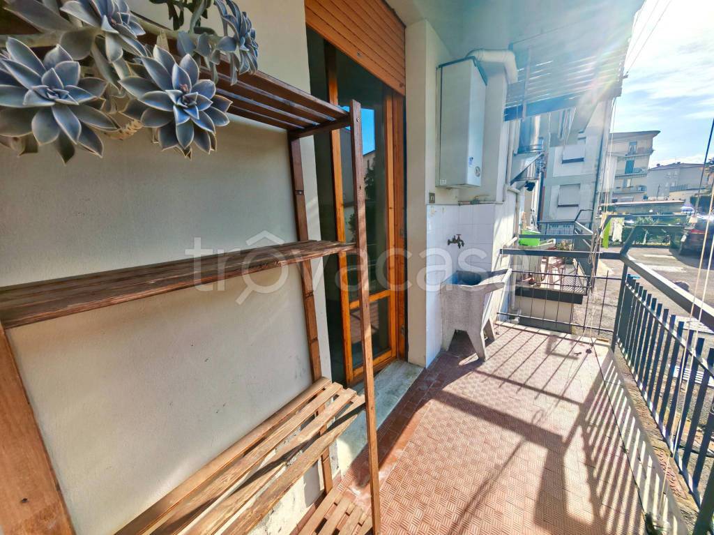 immagine annuncio 9 di 12