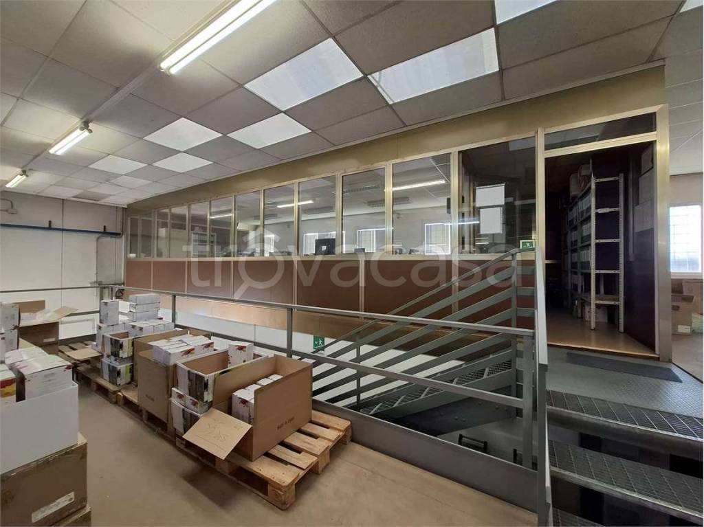 immagine annuncio 9 di 15