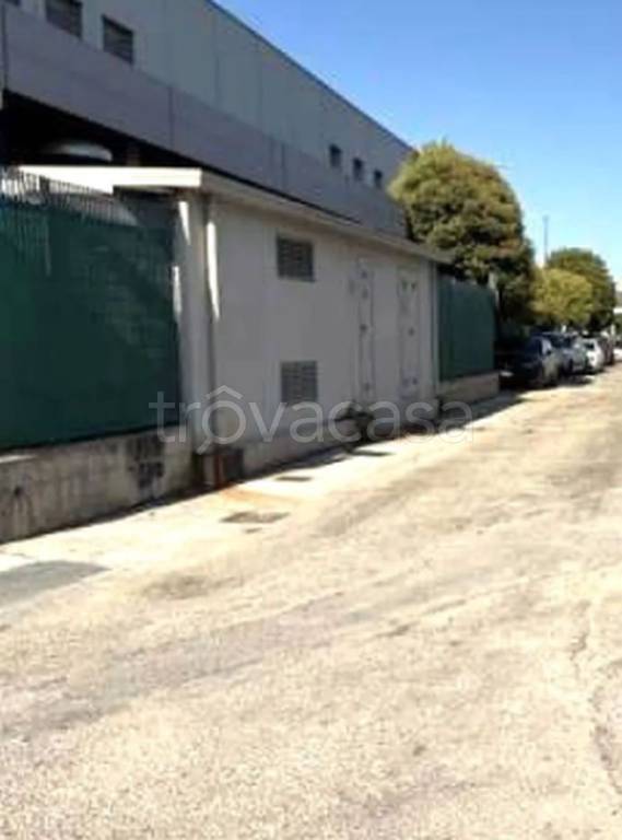 immagine annuncio 5 di 11