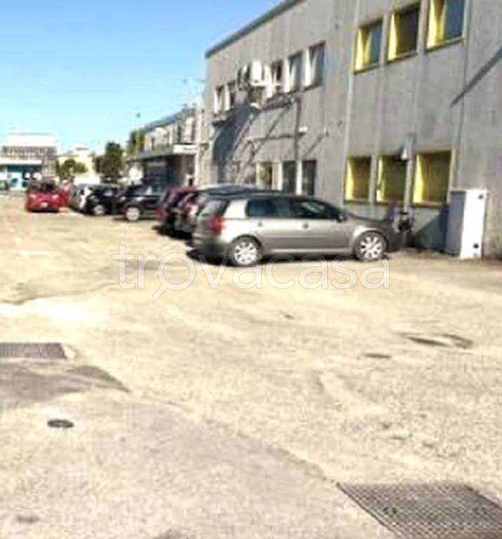 immagine annuncio 7 di 11