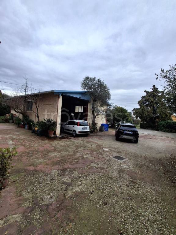 immagine annuncio 2 di 3