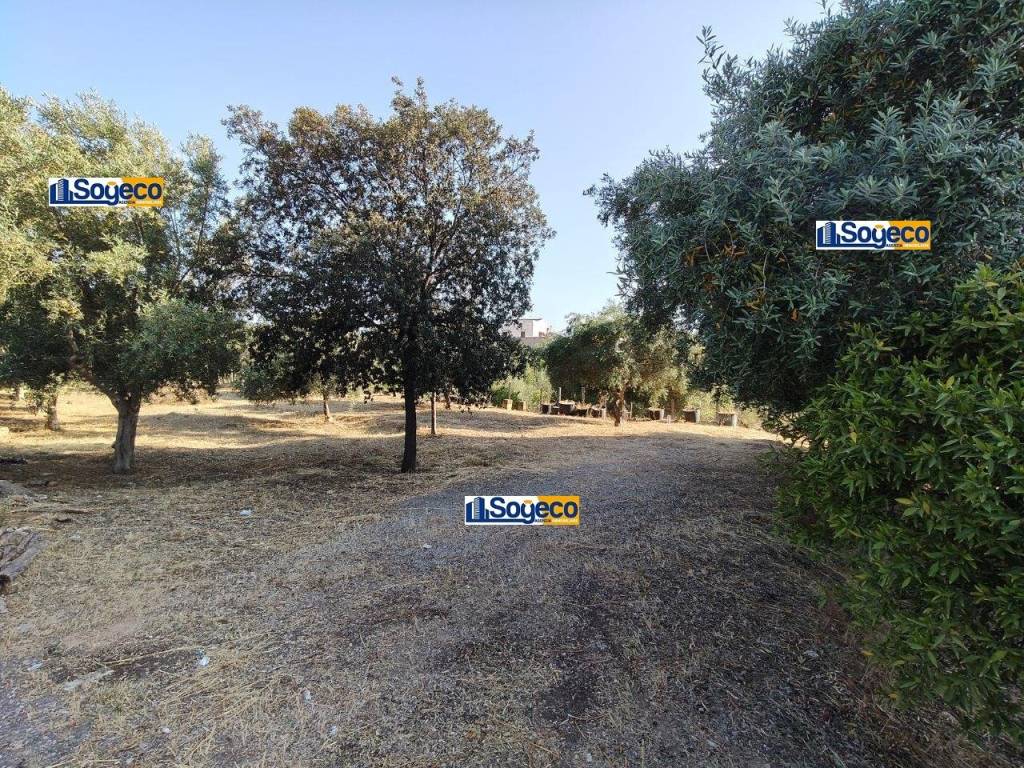 immagine annuncio 3 di 9