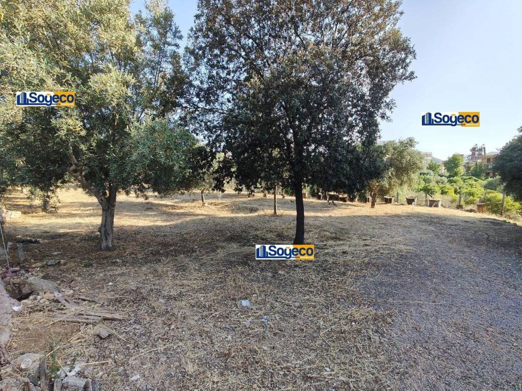 immagine annuncio 4 di 9