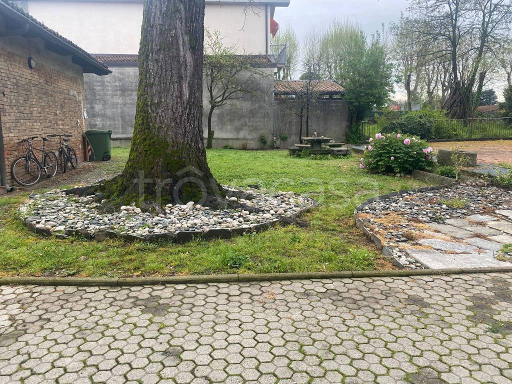 immagine annuncio 11 di 12