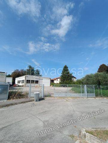 immagine annuncio 3 di 6