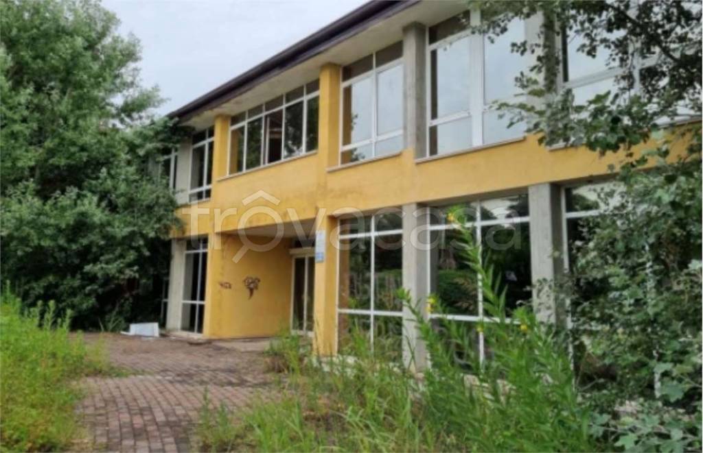 immagine annuncio 4 di 14