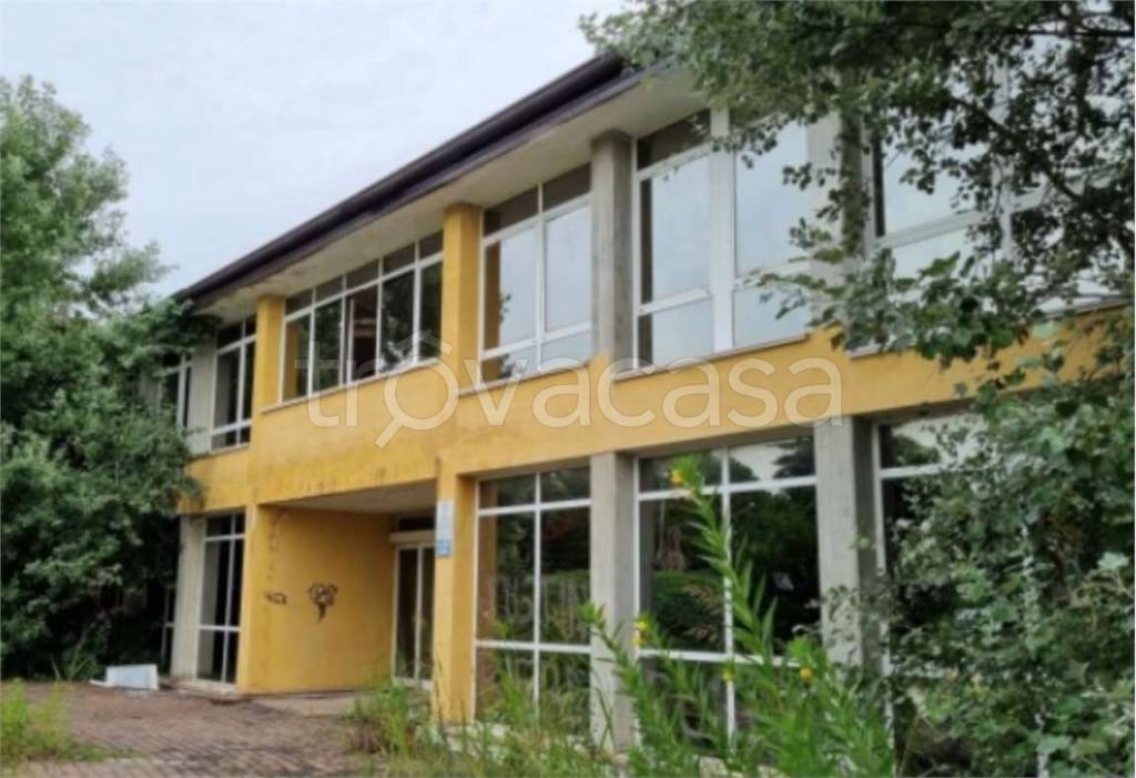 immagine annuncio 5 di 14