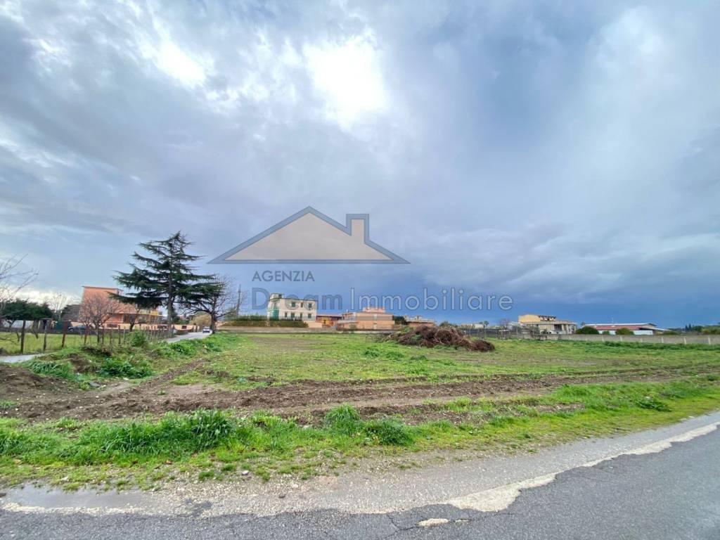 immagine annuncio 1 di 6