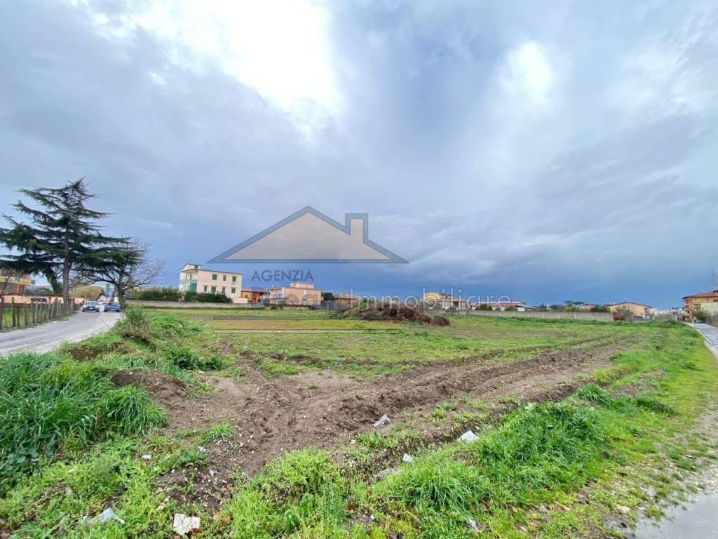 immagine annuncio 2 di 6