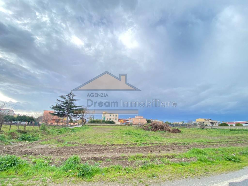 immagine annuncio 3 di 6