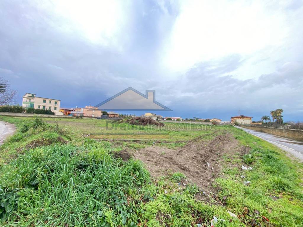 immagine annuncio 4 di 6