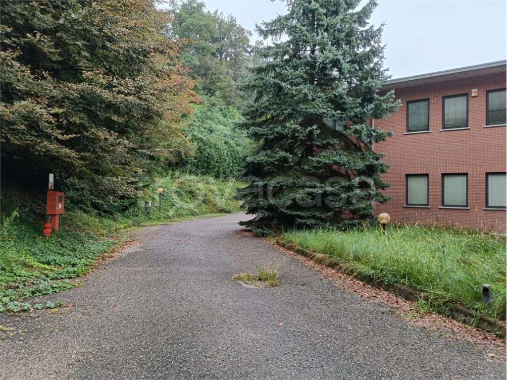 immagine annuncio 12 di 14