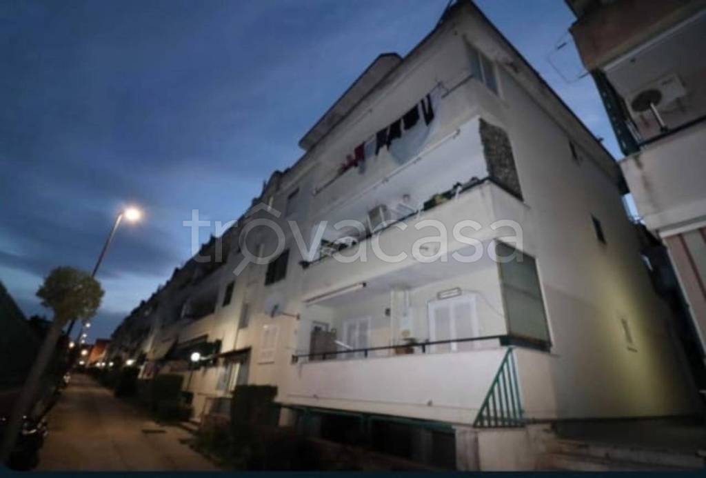 immagine annuncio 4 di 11