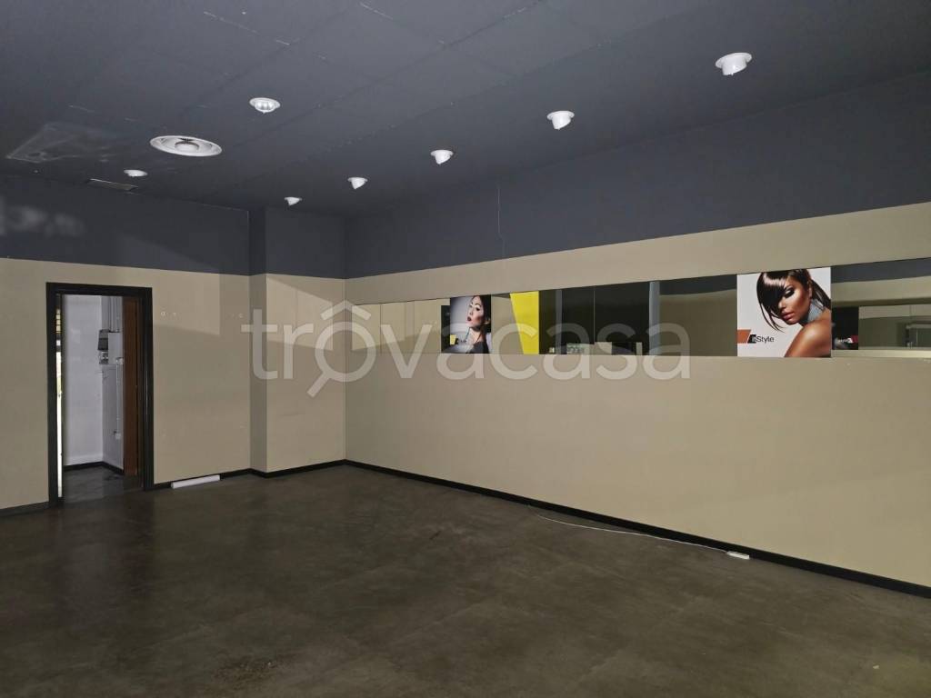 immagine annuncio 3 di 14