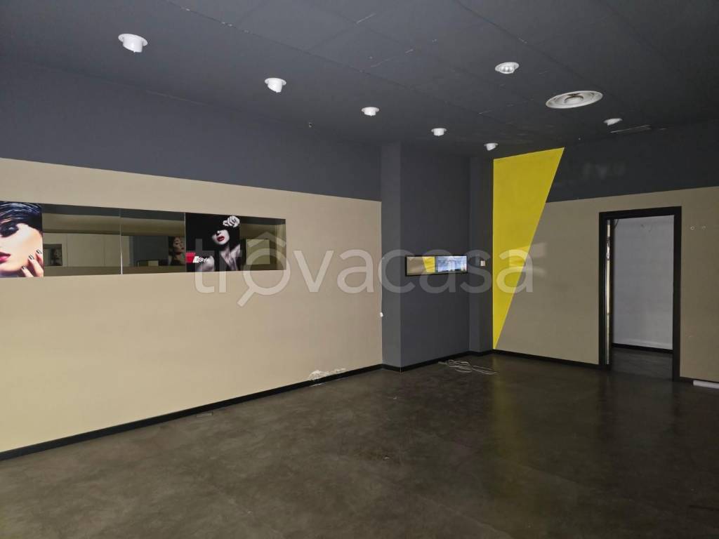 immagine annuncio 4 di 14